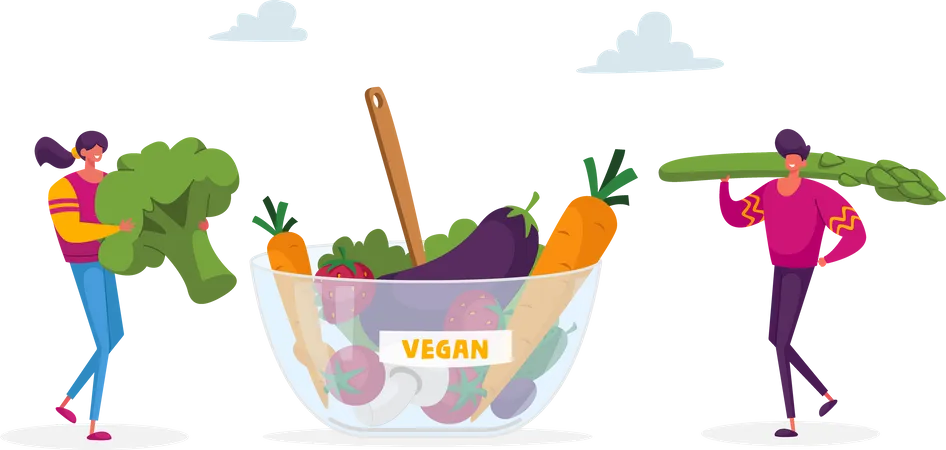 Vegan meal for healthy lifestyle  Illustration