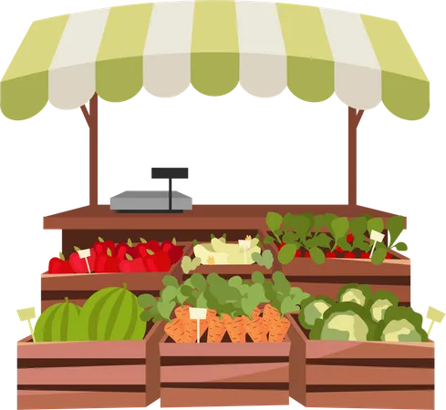 Vegetable stand  イラスト