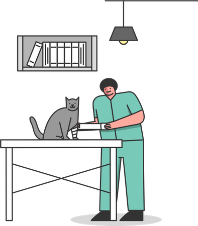 Vet doctor treating cat with injury  Illustration