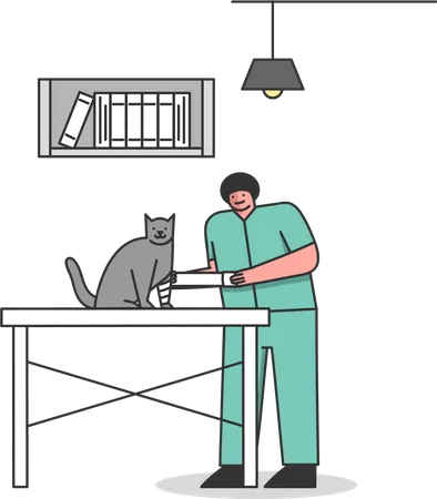 Vet doctor treating cat with injury  Illustration