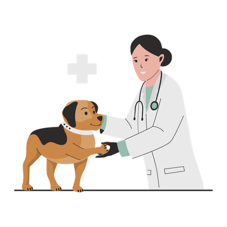 Veterinarian Doctor checking dog  Illustration