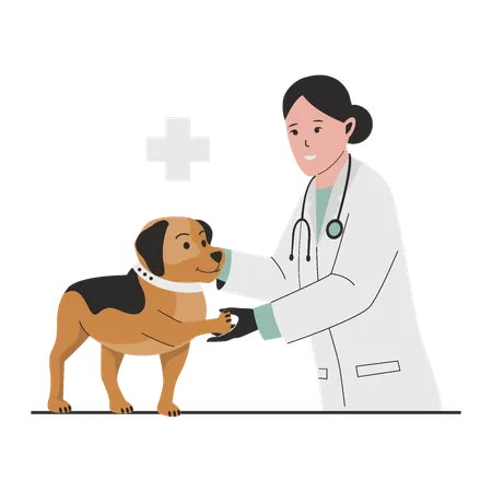 Veterinarian Doctor checking dog  Illustration