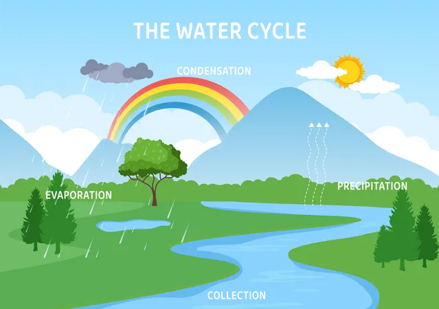 Water cycle at mountain region  Illustration