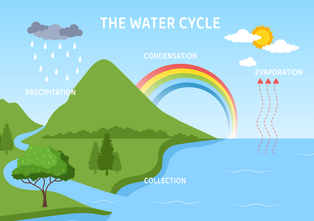 Water cycle diagram  Illustration