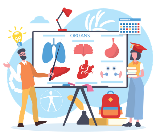 Wissenschaftler untersuchen menschliche Körperorgane  Illustration