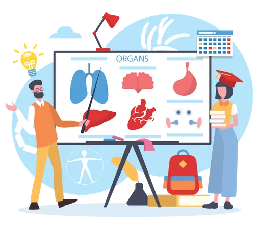 Wissenschaftler untersuchen menschliche Körperorgane  Illustration