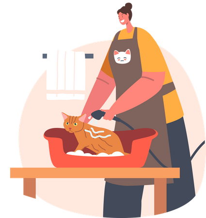 Woman bathing cat providing pet grooming service  Illustration