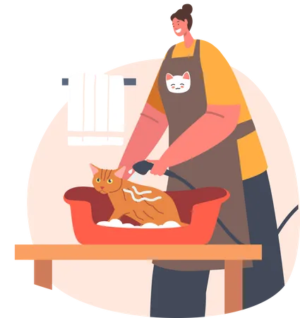 Woman bathing cat providing pet grooming service  Illustration