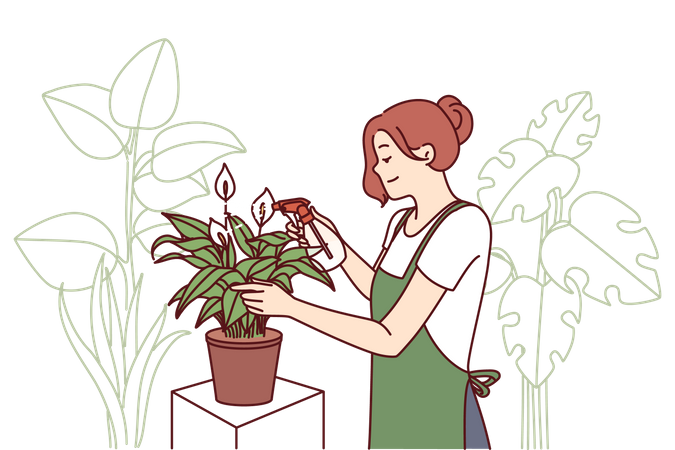 Woman spraying water on plant  Illustration