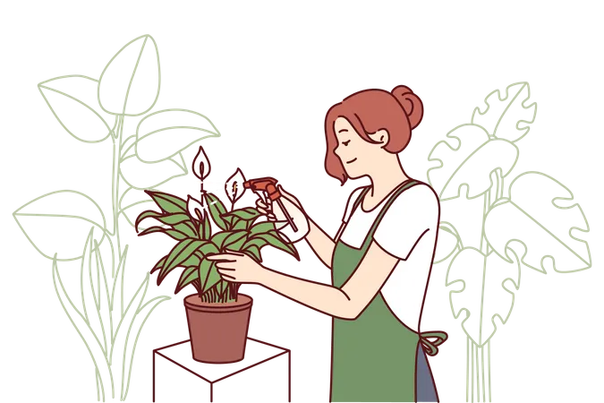 Woman spraying water on plant  Illustration