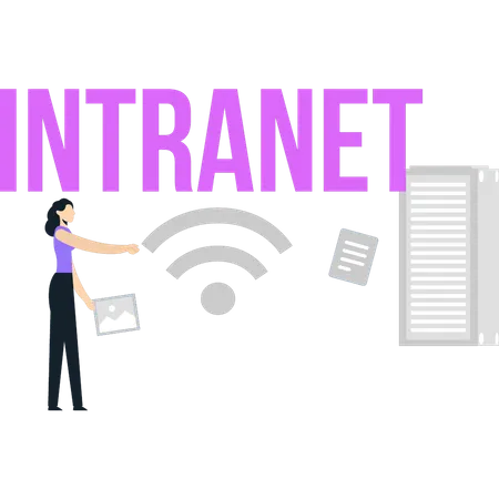 Woman use internet network  イラスト