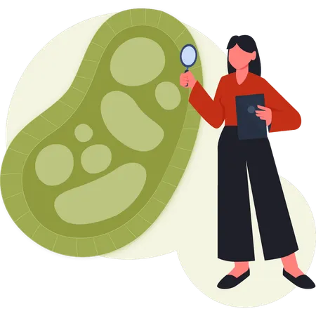 Women searching bacteria virus  Illustration