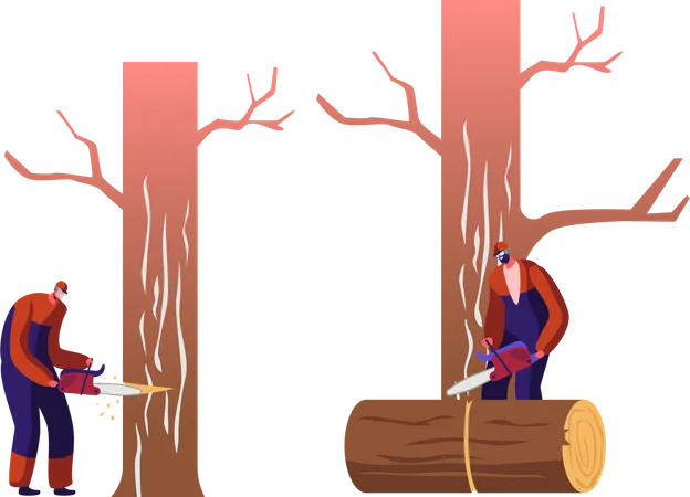 Worker Cutting Tree and Collecting Logs  Illustration