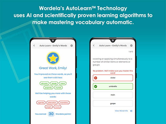 Wordela Vocabulary Builder: Lifetime Subscription