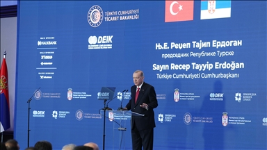 Türkiye, Serbia will strive to enhance business cooperation: Turkish President Erdogan