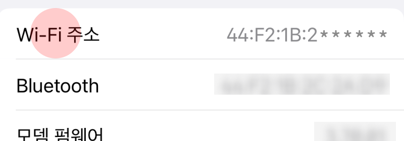 아래와 같이 ‘Wi-Fi 주소’ 항목 확인 가능