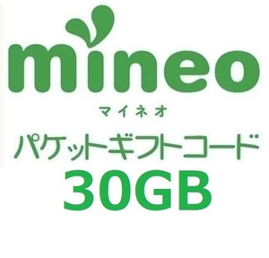 パケットギフト 9,999MB×3 (約30GB) 　mineo マイネオ 　即決 匿名　ゲーム②