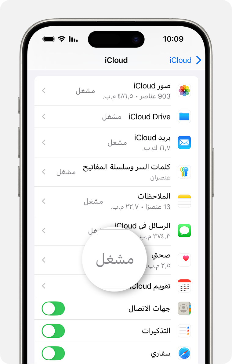 شاشة iPhone تعرض "إعدادات iCloud"