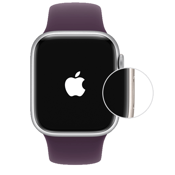 Apple Watch turning on, showing location of the side button