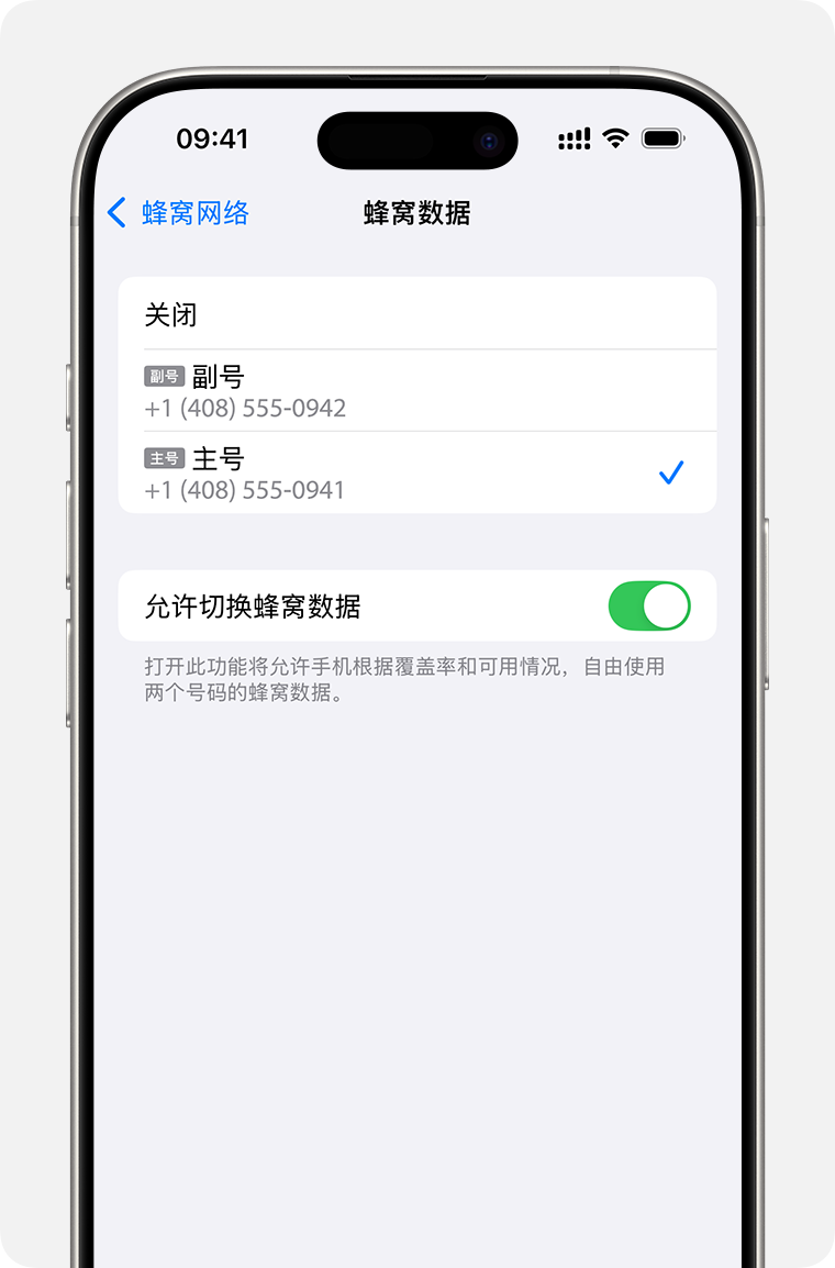 iPhone“蜂窝数据”设置，其中可选择让哪个号码使用蜂窝数据或开启“允许切换蜂窝数据”。