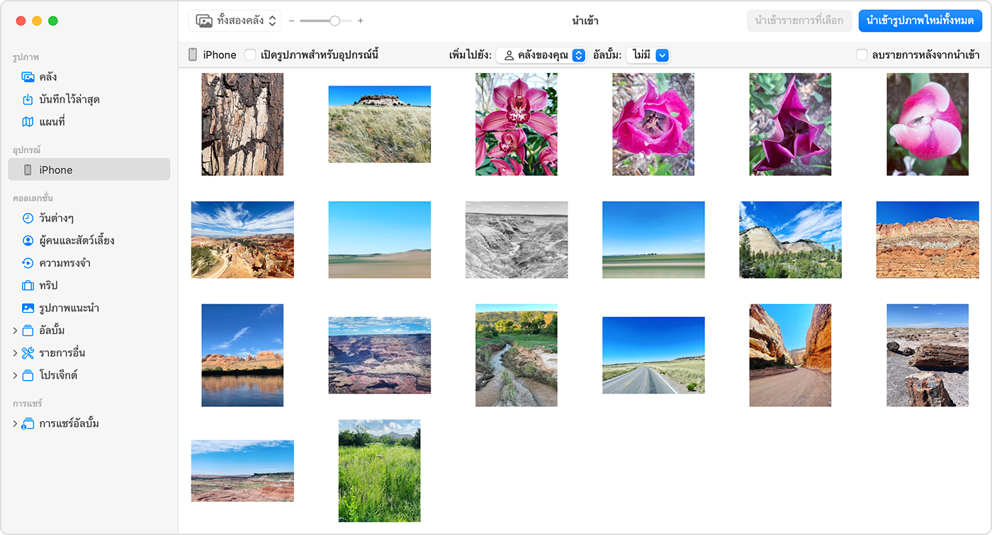 หน้าจอ Mac ที่แสดงรูปภาพที่สามารถนำเข้าได้