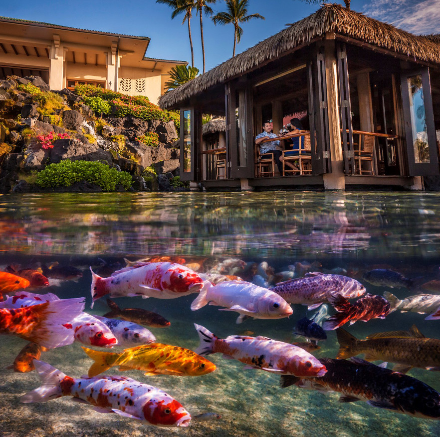 Restaurant-Grand-Hyatt-Kauai-resized