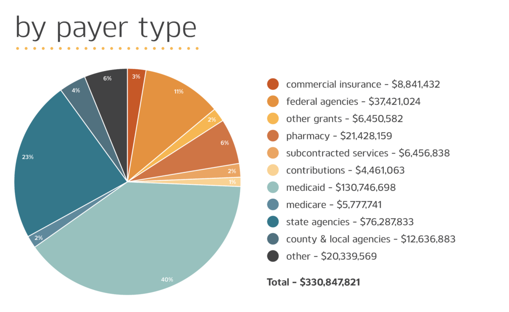 Revenue Pie Graph by Payer Type