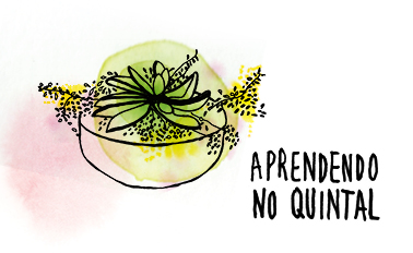 Aprendendo no Quintal