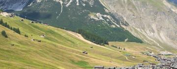 Leiligheter i Livigno