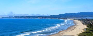 Hoteles que admiten mascotas en Stinson Beach