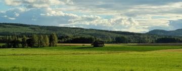 Hotell med parkering i Insjön