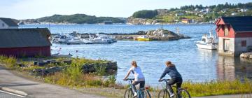 Loma-asunnot kohteessa Steinsland