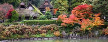 Hoteller med onsen i Takayama