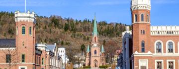 Ferieboliger ved stranden i Drammen