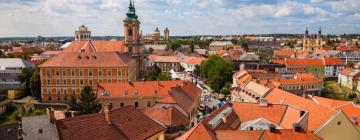 Hotels in Eger