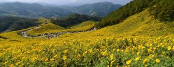 Asrama di Mae Hong Son