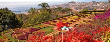 Mga budget holiday sa Funchal