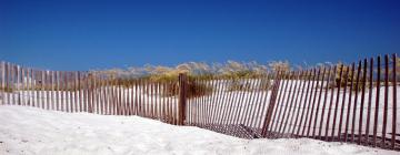 Alojamientos en la playa en Gulf Shores