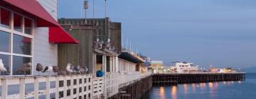 Beach Hotels in Santa Cruz