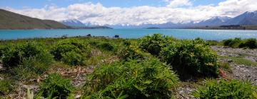 Viešbučiai mieste Lake Tekapo