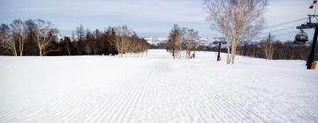 Ξενοδοχεία σε Nozawa Onsen