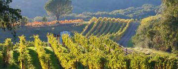 Hotels in Yountville