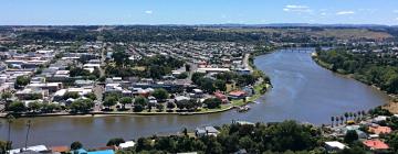 Hotel Mesra Haiwan Peliharaan di Whanganui