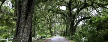 Hotels a Micanopy