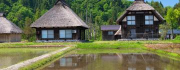 Atostogos be didelių išlaidų mieste Kašivazakis