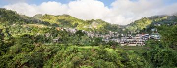 Ferienwohnungen mit Hotelservice in Banaue