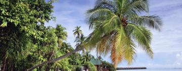 Hotels in Guraidhoo