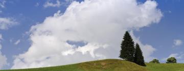 Hoteli u gradu Wald im Pinzgau