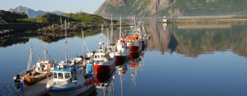 Ferieboliger på Hovden