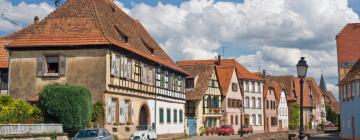 Wellness hotely v destinaci Wissembourg